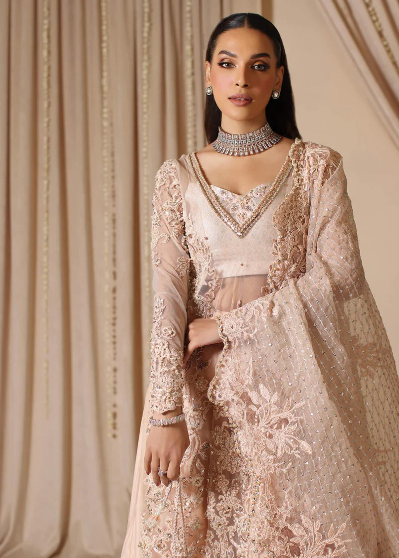 Majesty | Wedding Wear Embellished Sharara