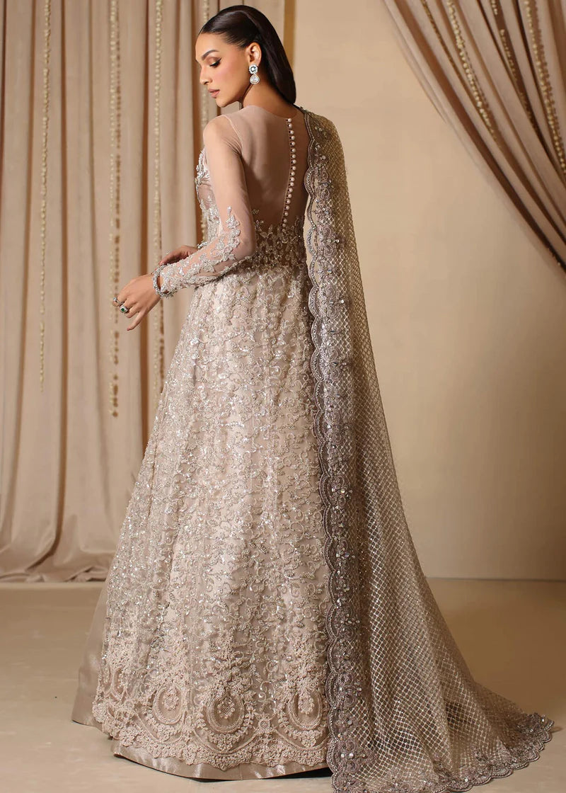 Royal Rose | Bridal Wedding Wear Gown