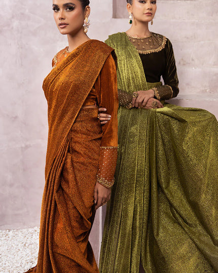 Zamira | Burnt Orange Embellished Velvet Saree