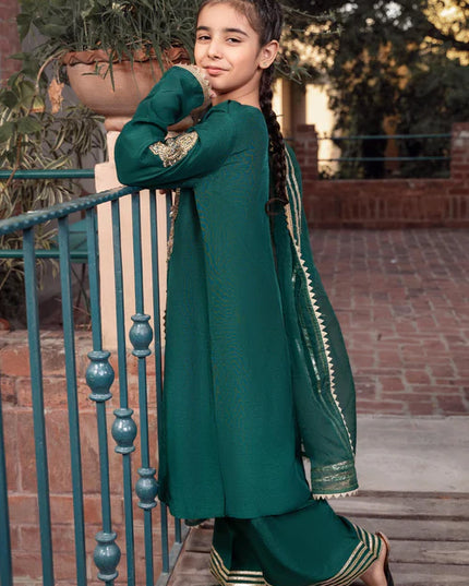 Rani | Girls Green Khaddi Silk Embroidered Suit