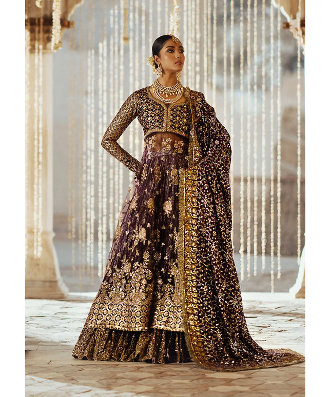 Dastoor | Plum Embroidered Velvet Sharara