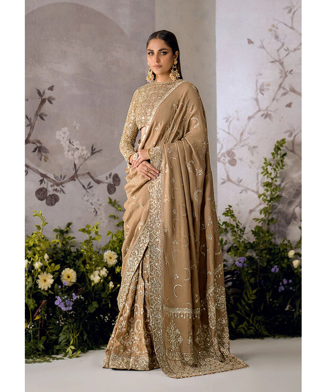 Umber | Embroidered Net Luxury Silk Saree