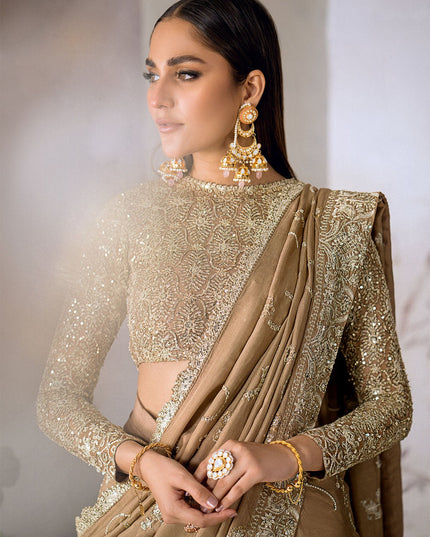Umber | Embroidered Net Luxury Silk Saree