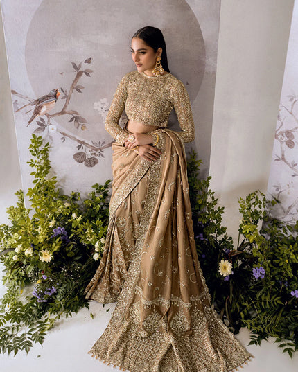 Umber | Embroidered Net Luxury Silk Saree