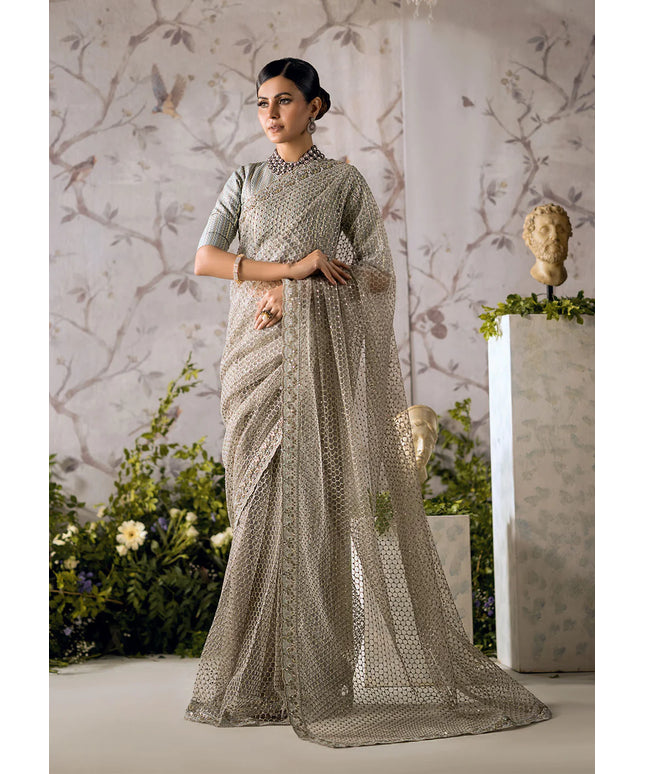 Rezene | Festive Wear Embroidered Net Saree