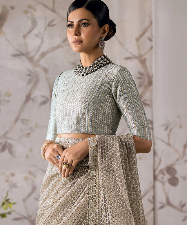 Rezene | Festive Wear Embroidered Net Saree