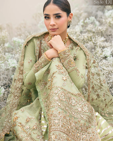 Manno | Green Organza Embellished Dress