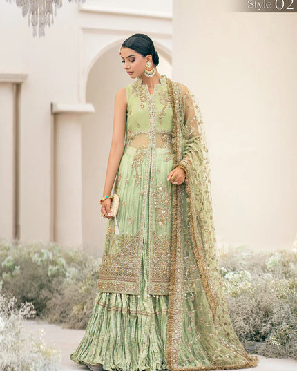 Manno | Green Organza Embellished Dress