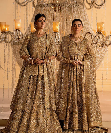 Rihanna | Light Bown Embroidered Embellished Tulle Net Lehenga