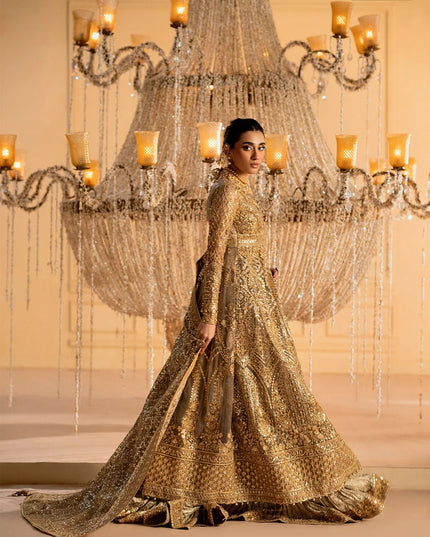Rihanna | Light Bown Embroidered Embellished Tulle Net Lehenga