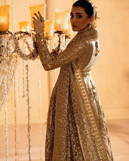 Rihanna | Light Bown Embroidered Embellished Tulle Net Lehenga
