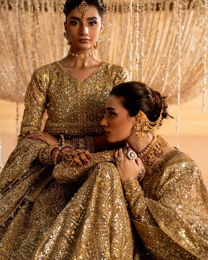 Rihanna | Light Bown Embroidered Embellished Tulle Net Lehenga