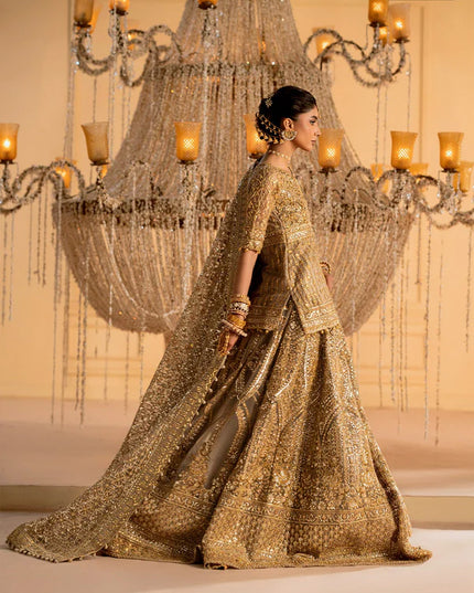 Rihanna | Light Bown Embroidered Embellished Tulle Net Lehenga