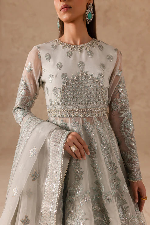 Etoile | Silver Embroidered Organza Formal Dress