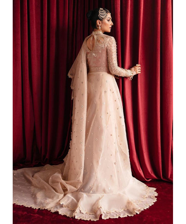 REENA | Sheesha Embroidered Saree