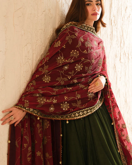 Rumi | Green Embroidered Velvet Lehenga