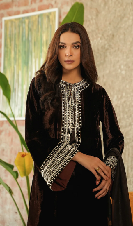 1 Piece | Brown Velvet Embroidered Dress