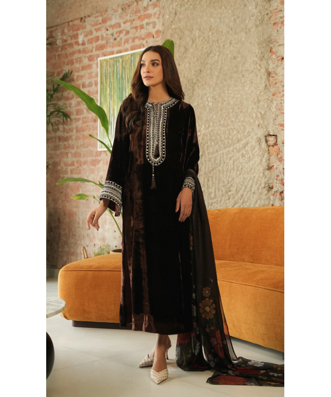 1 Piece | Brown Velvet Embroidered Dress