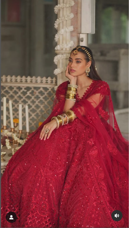 Qalamkar | Red Raw Silk Hand Embroidered Lehenga