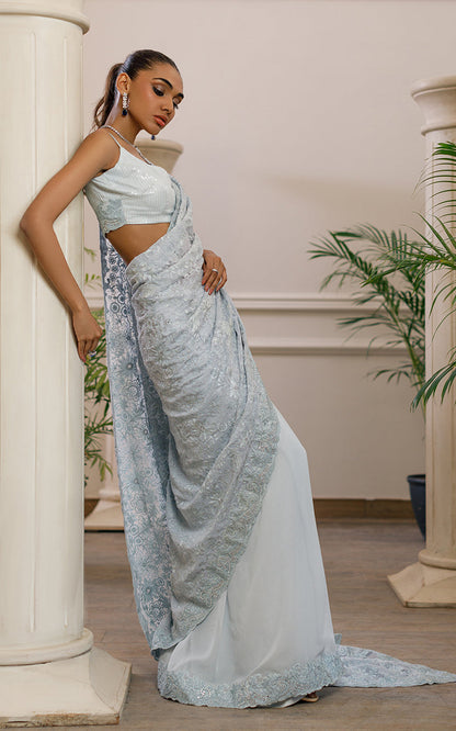 Dana | Embroidered Net Saree