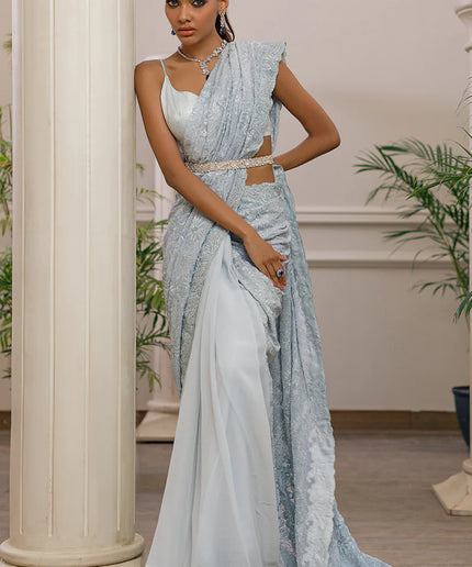 Dana | Embroidered Net Saree