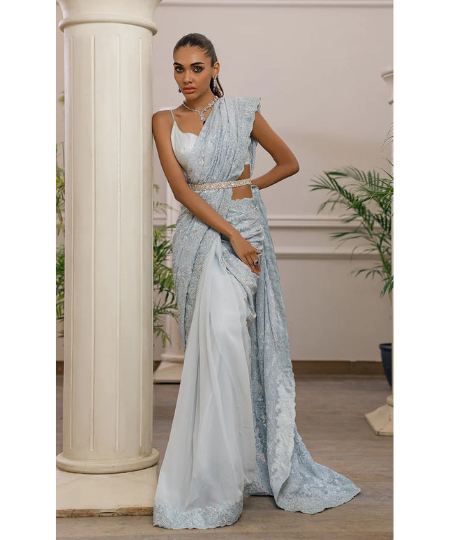 Dana | Embroidered Net Saree